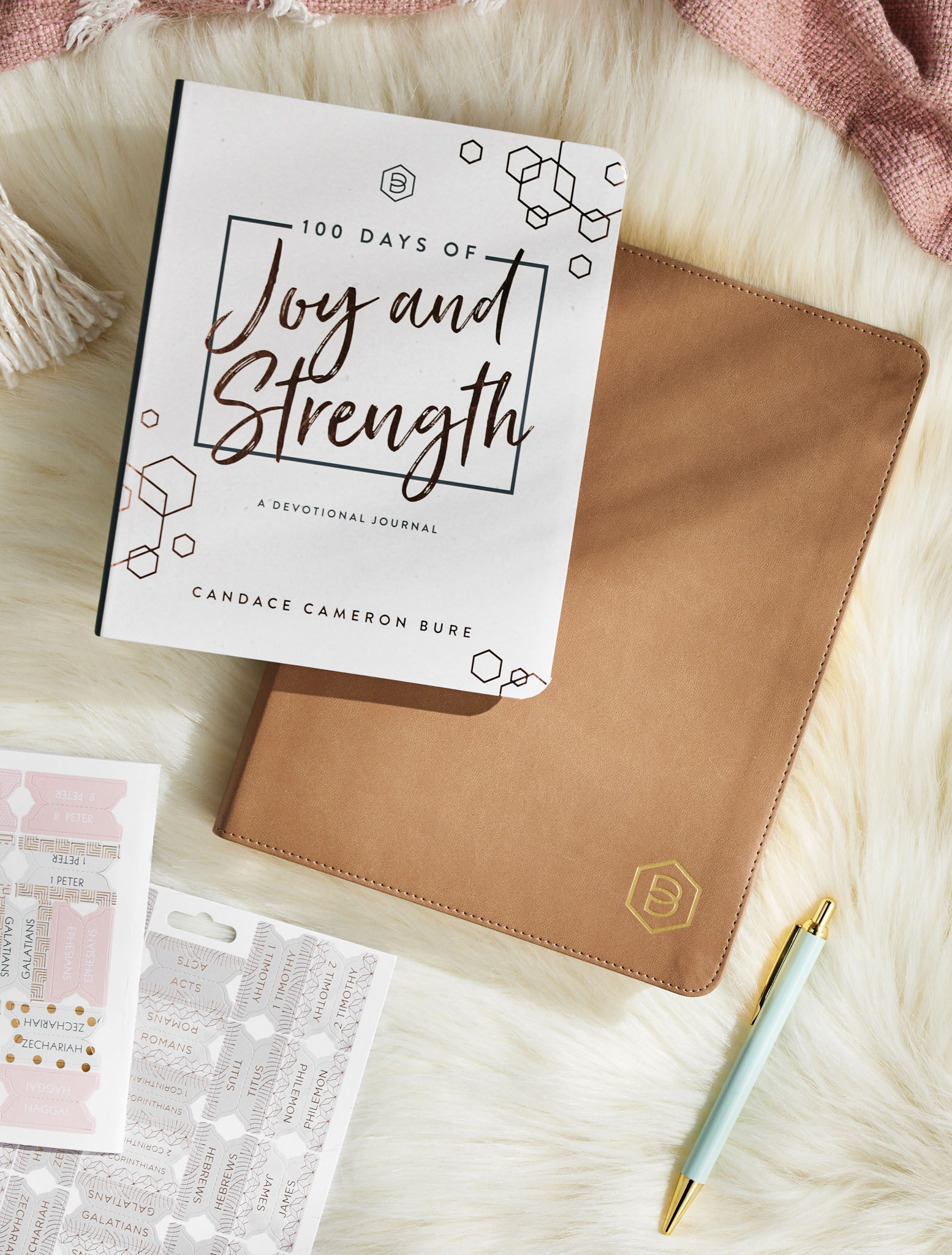 joy and strength book cover