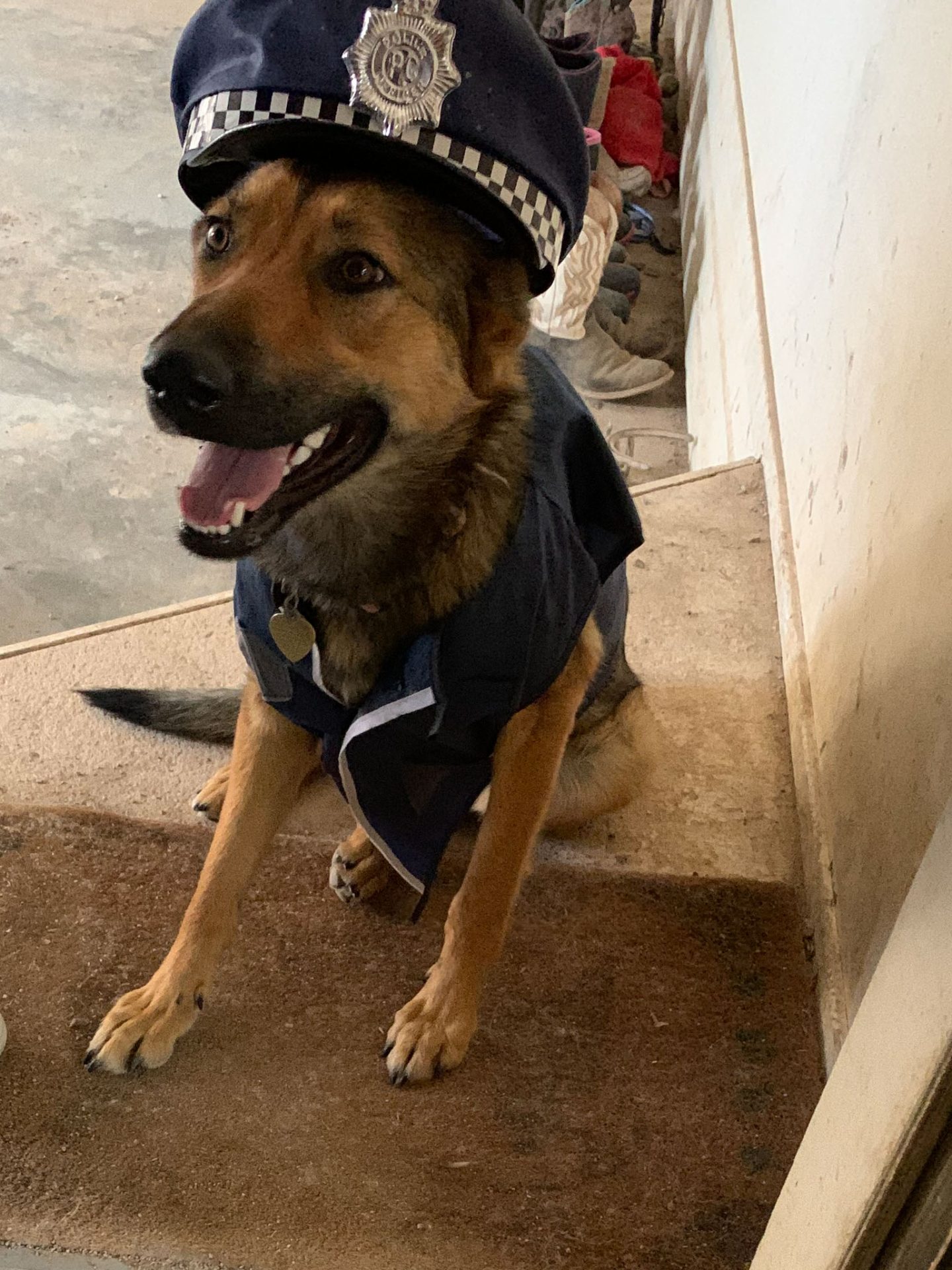 Shepinois dressed as policeman