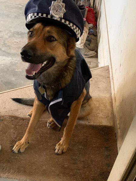shepinois in police costume